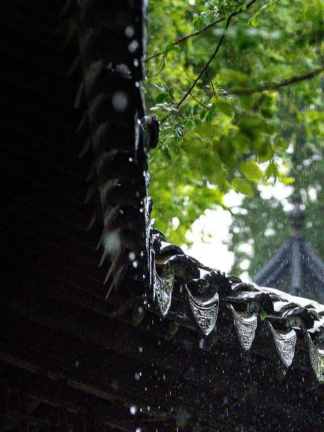 你是七月湖上的雨，也是江南的驚鴻客。