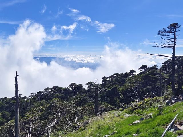 洱海 ·蒼山 ·大理