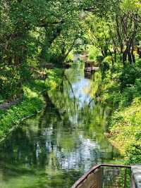 【北塢公園】漫步稻浪與古橋間