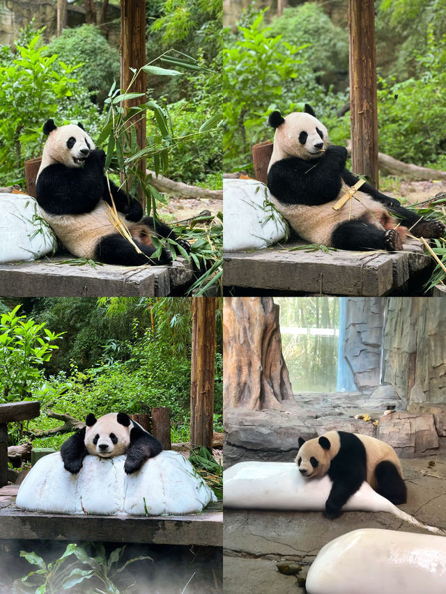 溜娃聖地童話樂園  小朋友玩到癲！強烈推薦