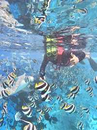 🌊 Snorkeling in Paradise: A Maldives Dream Come True! 🤿✨