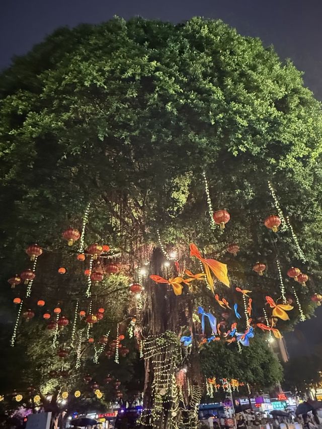 榕城古巷聽雨，鷺島浪琴悠揚