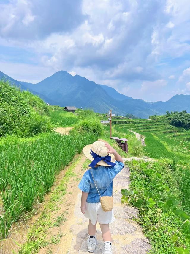 浙江親子遊！暑期梯田最全玩法攻略！