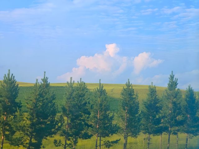 唔好只係掛住景區!多倫嘅小眾寶藏玩法大公開 唔好只係掛住景區!多倫嘅小眾寶藏玩法大公開