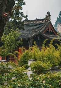 玄中寺：淨土祖庭的千年回響