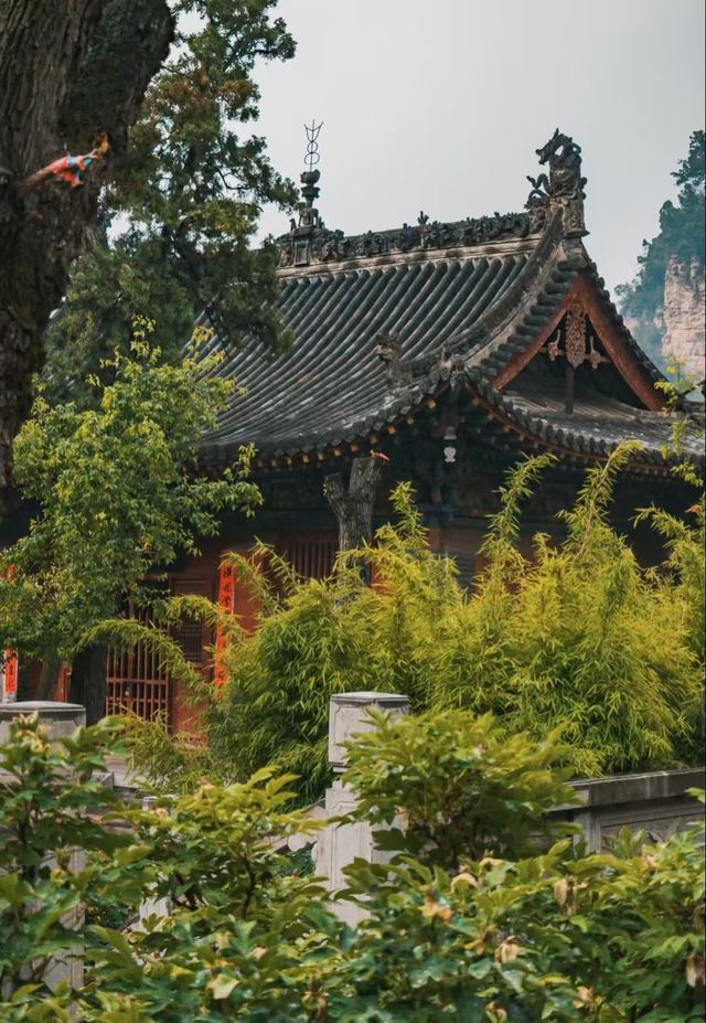 玄中寺：淨土祖庭的千年回響