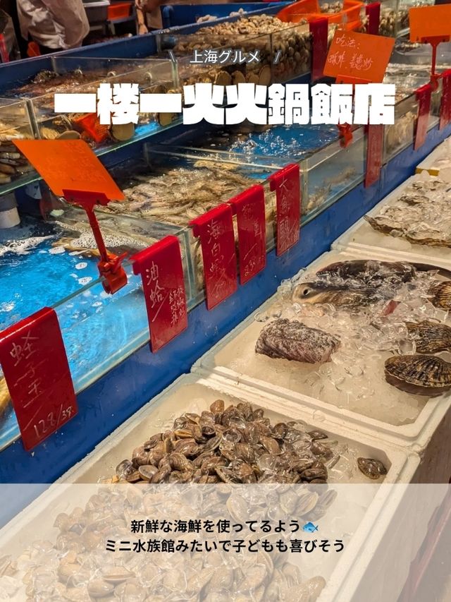 🇨🇳上海来たらここ食べて！