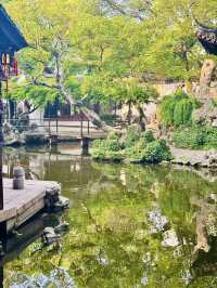 一眼知江南！同里才是真·枕水煙火人間！