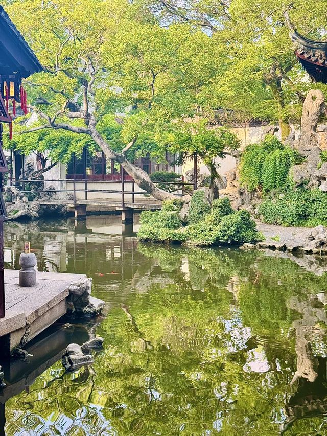 一眼知江南！同里才是真·枕水煙火人間！