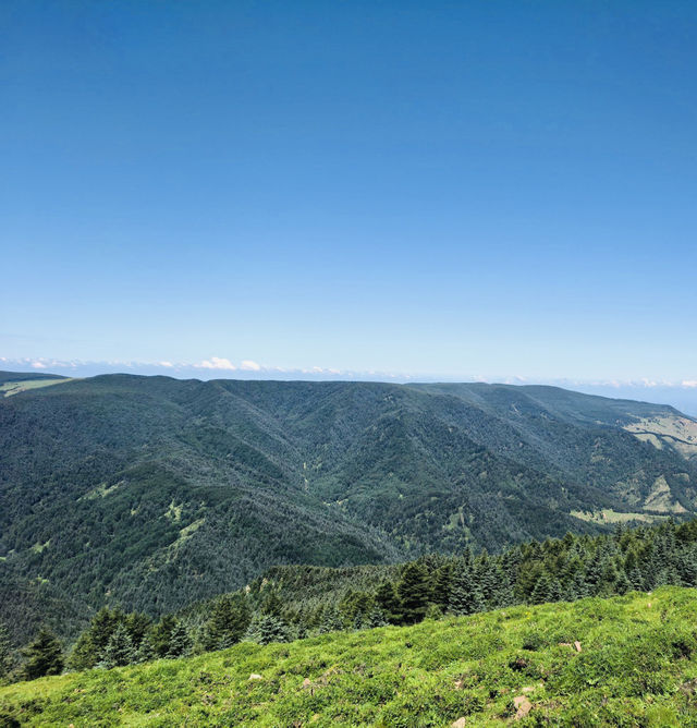 華北高山草甸秘境遊