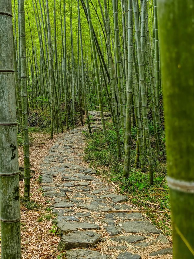 寶藏小鎮——湖州 寶藏小鎮——湖州