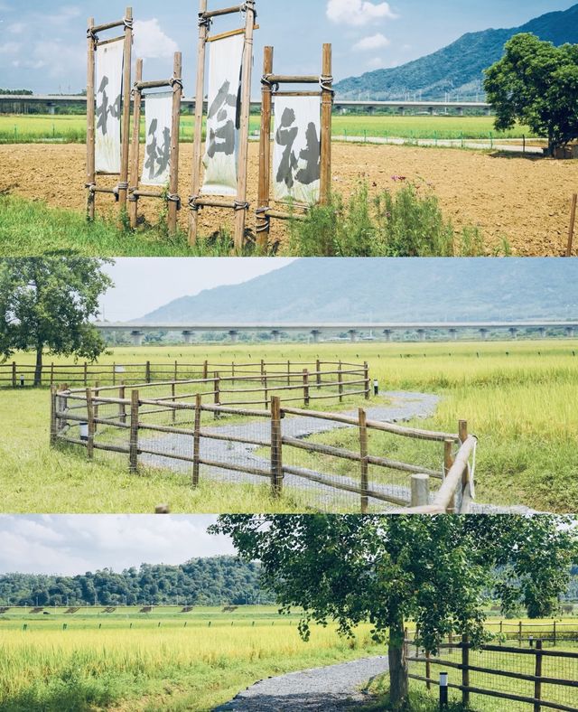 秋日清遠絕美濕地 秋日清遠絕美濕地