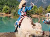 Blue Moon Valley: The Jade Beneath Jade Dragon Snow Mountain