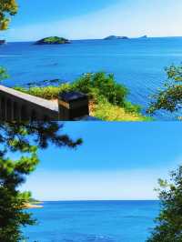 大連3天2夜保姆級攻略濱海浪漫&城市精華一網打盡!
