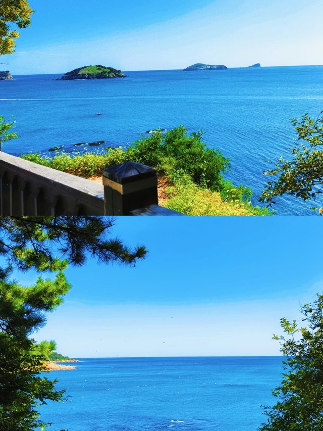 大連3天2夜保姆級攻略濱海浪漫&城市精華一網打盡! 大連3天2夜保姆級攻略濱海浪漫&城市精華一網打盡!