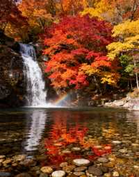 人生建議：10-11月一定要去睇光霧山！
