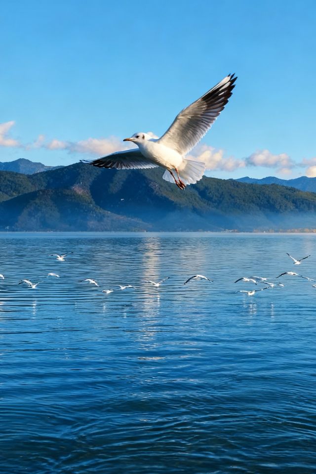 接下來的瀘沽湖美若人間仙境