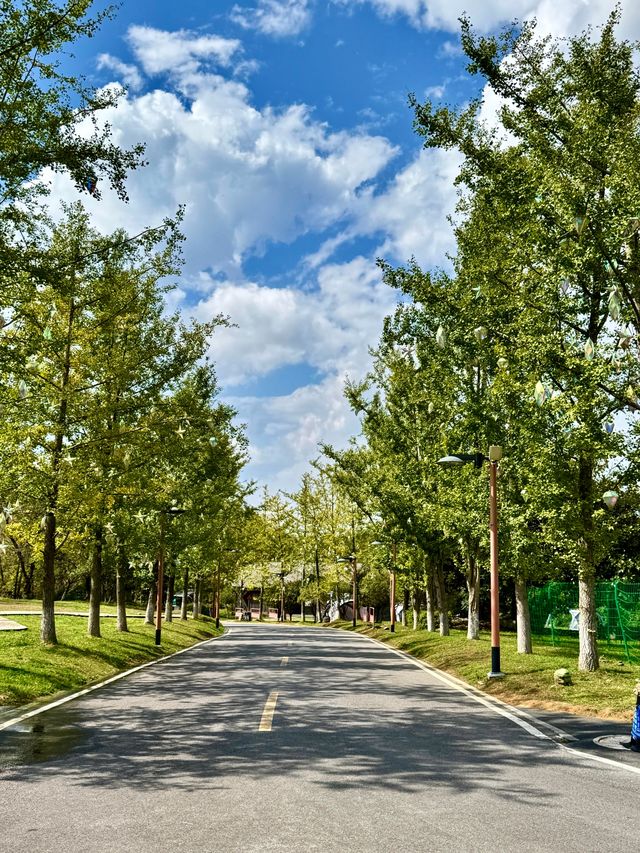 貴陽天河潭原色美景,絕了! 貴陽天河潭原色美景,絕了!