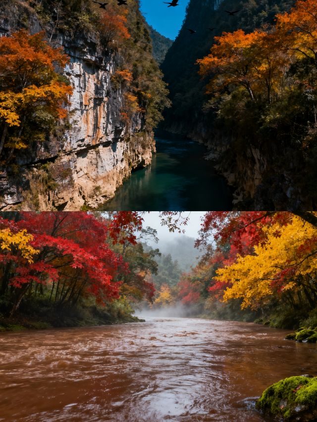 #曲靖金秋山水文化遊 如果你正在計劃一場旅行，那一定要來曲靖體驗一下金秋山水文化遊呀！ 曲靖的