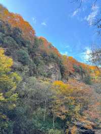 【每週出遊】漢中探秋，黎坪景區一日遊