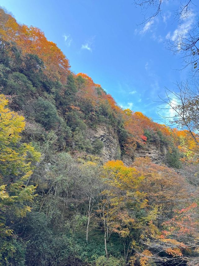 【每週出遊】漢中探秋，黎坪景區一日遊