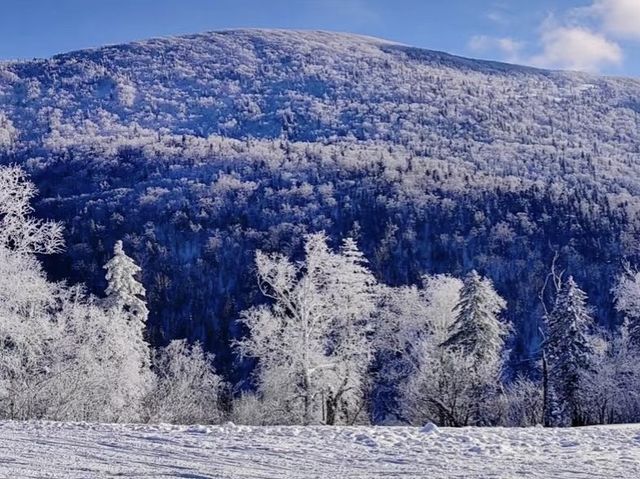 雪嶺凝霜綴瓊枝，尚志霧淞赴一場冬日詩行
