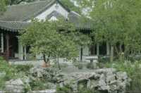 後樂園·初秋｜倦夏伏青，徐徐新秋