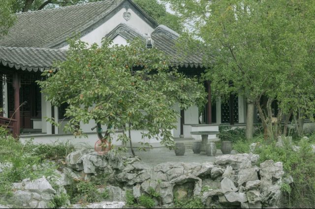 後樂園·初秋｜倦夏伏青，徐徐新秋