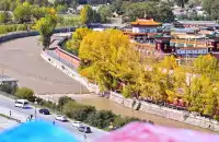 甘南的藏傳佛寺