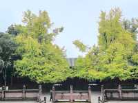 謁崇州市文廟