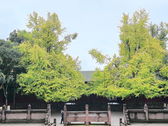 謁崇州市文廟