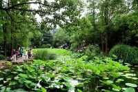 魔都小眾寶藏地人民公園漫遊指南
