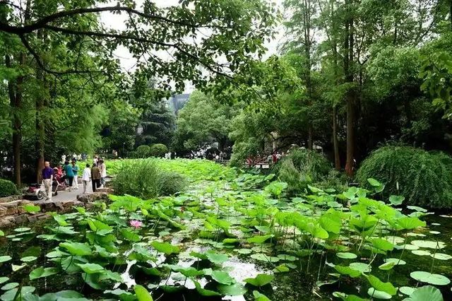 魔都小眾寶藏地人民公園漫遊指南