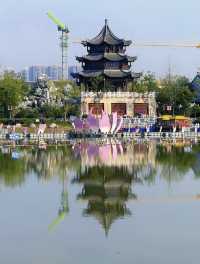 菏澤旅遊攻略｜牡丹之都的絕美花海與千年故事
