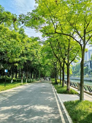 The East Lake Park running track resembles a "rose" 