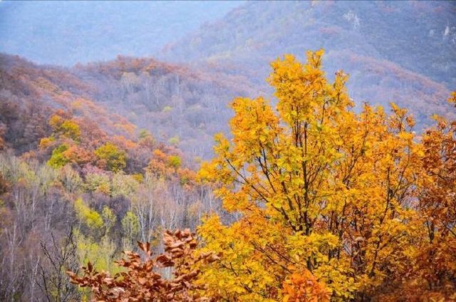 金秋京畿自駕遊|登頂靈山,邂逅北京屋脊的絕美秋色 金秋京畿自駕遊|登頂靈山,邂逅北京屋脊的絕美秋色