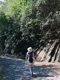 上海2h|大片!適合懶閨蜜家人的偽徒步路線