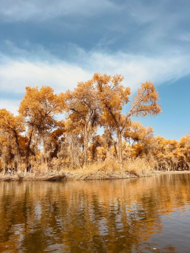 新疆胡楊林秘境解鎖 新疆胡楊林秘境解鎖