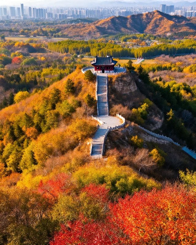 打卡唐風秋韻|邂逅城市邊的詩意與溫柔|收穫滿滿的治癒與快樂