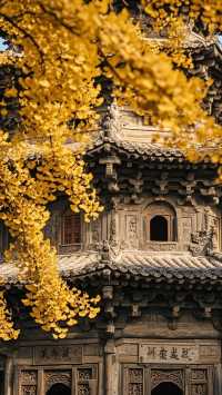 邢台賞秋私藏地推薦