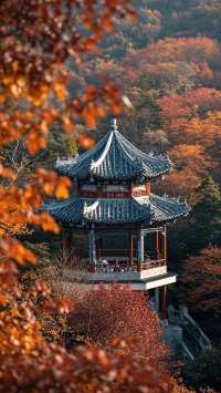 濟南秋色醉美紅妝