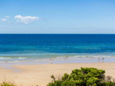 秋遊澳新兩國這篇攻略不看虧大