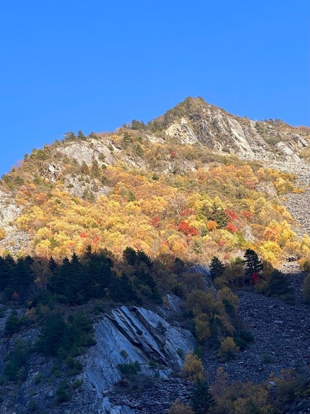 疊溪松坪溝紅葉盛宴