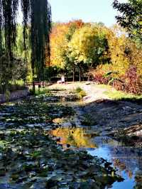 【河南省湯陰縣】城南公園。