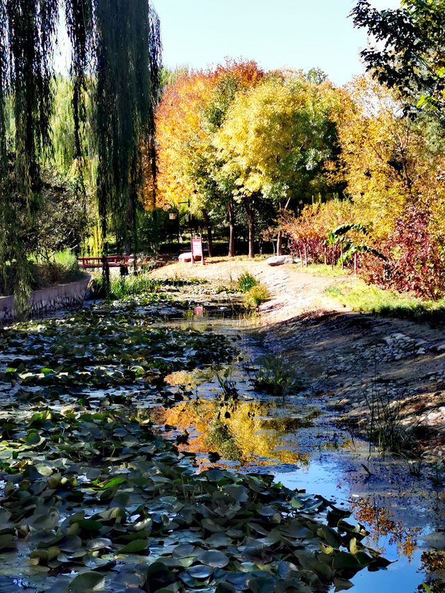 【河南省湯陰縣】城南公園。 【河南省湯陰縣】城南公園。