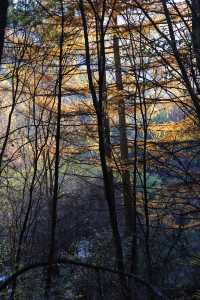 秦嶺留壩環線之情人谷