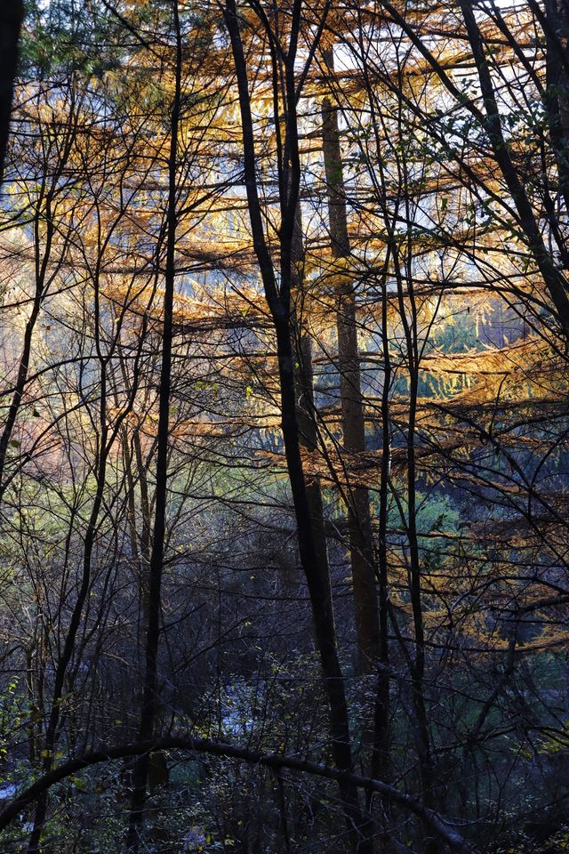 秦嶺留壩環線之情人谷