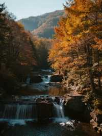 秋日遛娃私藏地！光霧山紅葉美到心巴上