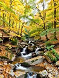 天水古城｜這座被低估的絲路遺珠藏了多少驚喜！