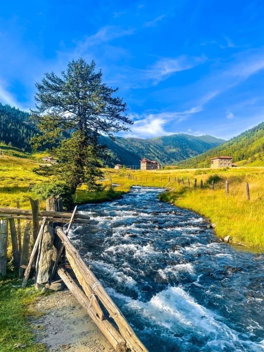 塔公菩提亞莊園：藏地野奢與風光